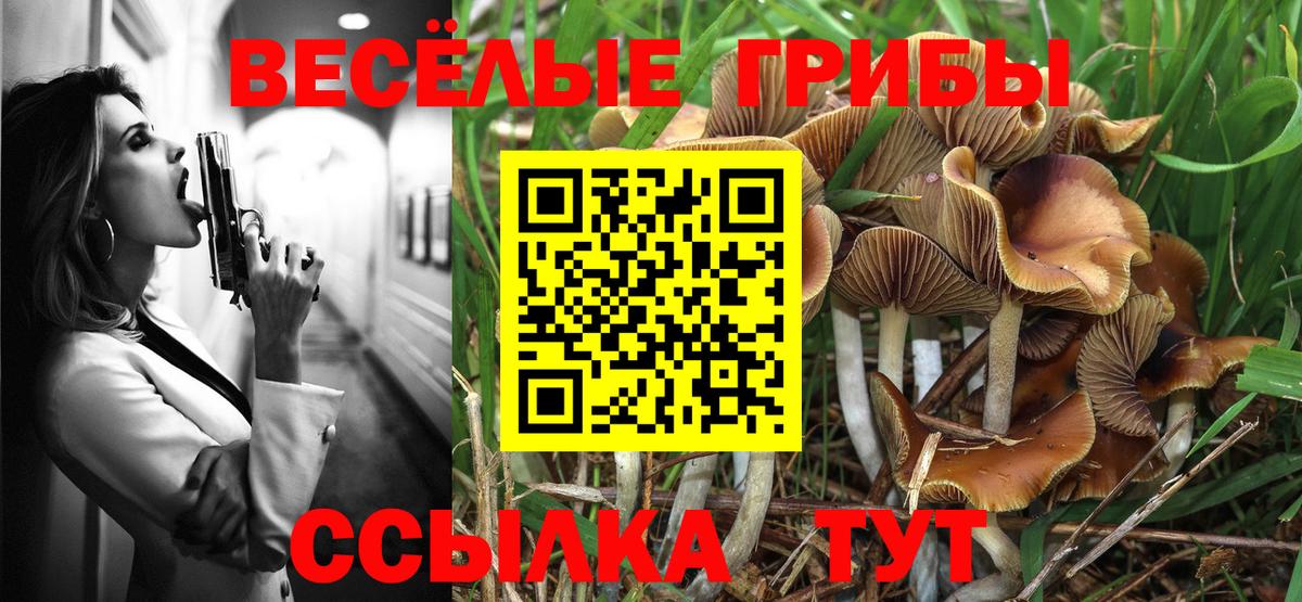 Псилоцибиновые грибы Magic Shrooms Армавир